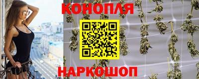 сатива Беслан
