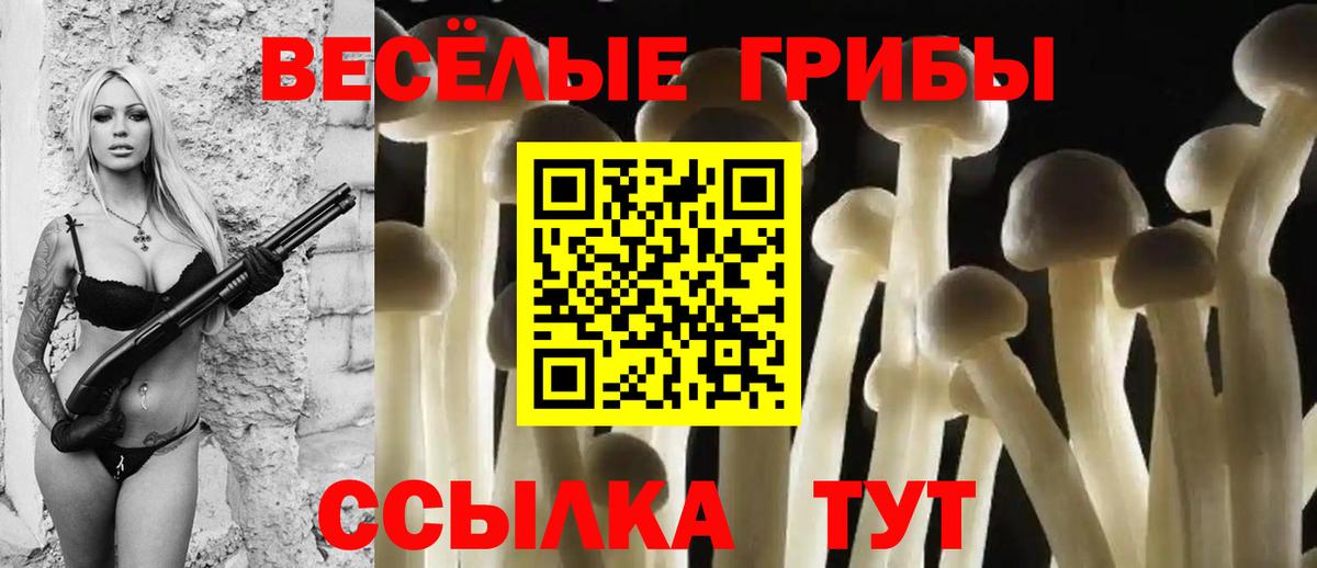 Псилоцибиновые грибы ЛСД Карпинск